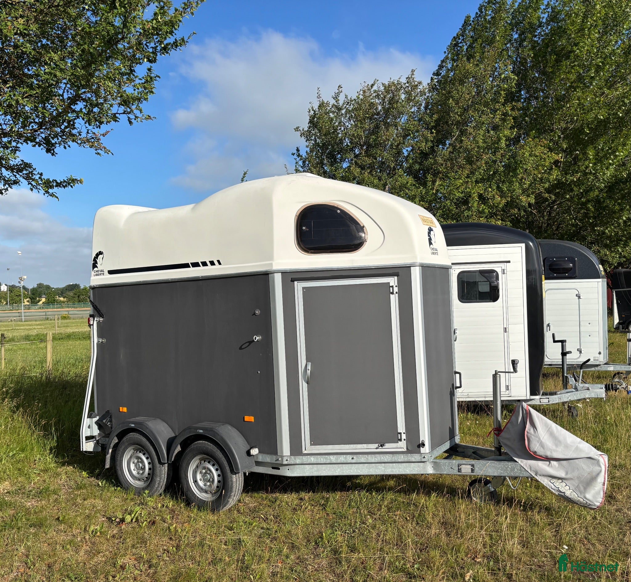 Hästtransporter  fordon & transport till salu: Välskött Cheval Liberte Gold - Annons 1