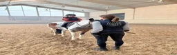  hästjobb finnes: Ridlärare, flexibel omfattning - Annons 1