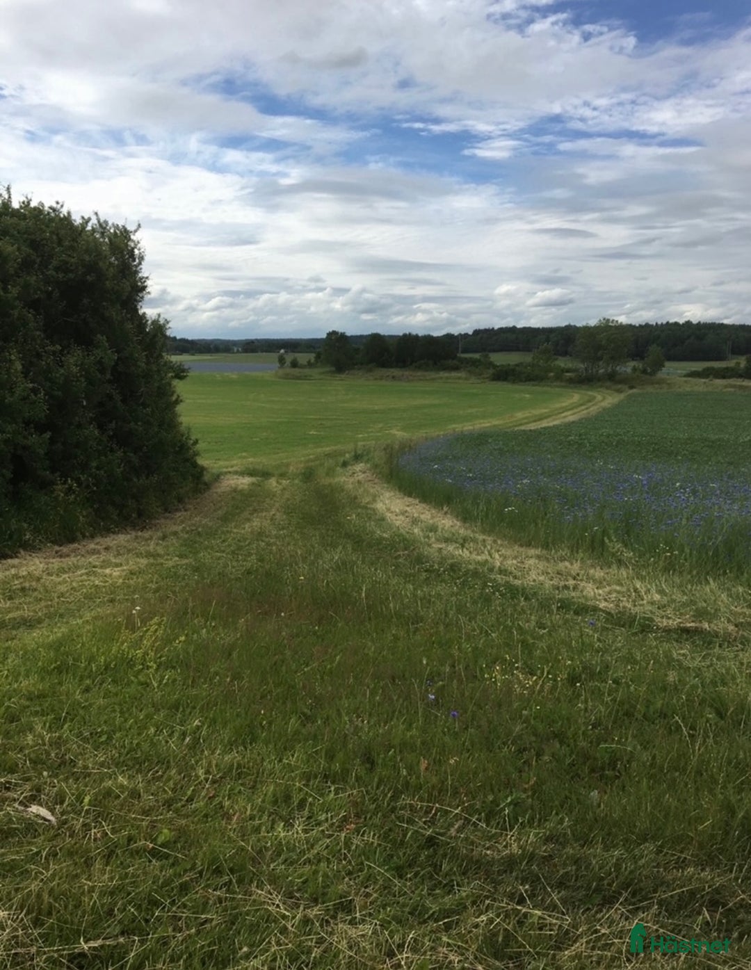  stallplats finnes: Stallplats, Norrköping  i Norrköping - Bild 7