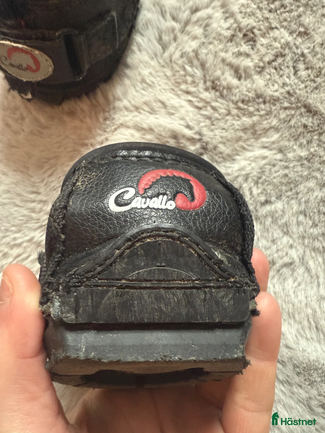 Övrig Hästutrustning hästutrustning till salu: CLB Boots slim 1  - Annons 3