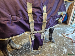 Täcken hästutrustning till salu: Vinterdäcken med hals i Rossön - Annons 1