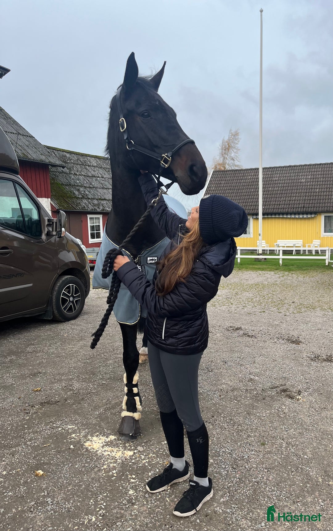 Hoppning hästar till salu: Vackraste hästen letar nytt hem!🖤 i Halmstad - Annons 1