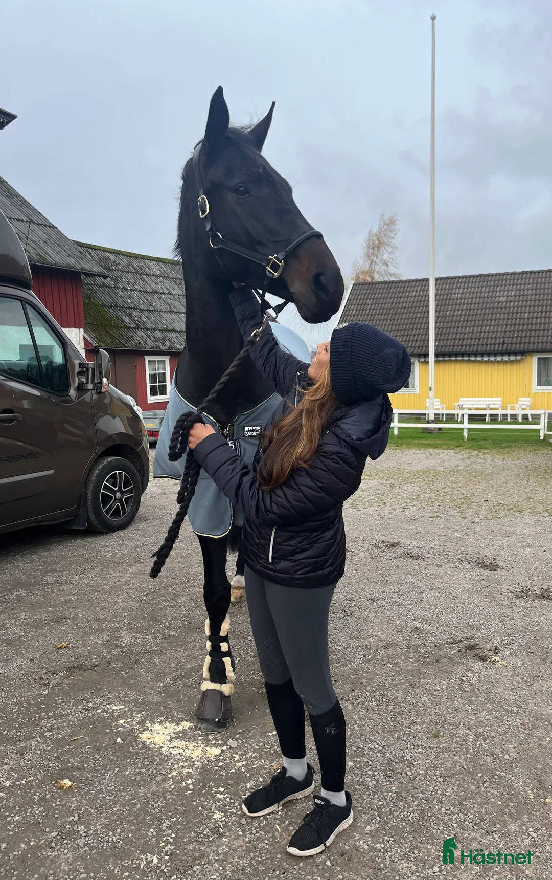 Hoppning hästar till salu: Vackraste hästen letar nytt hem!🖤 i Steninge - Annons 1