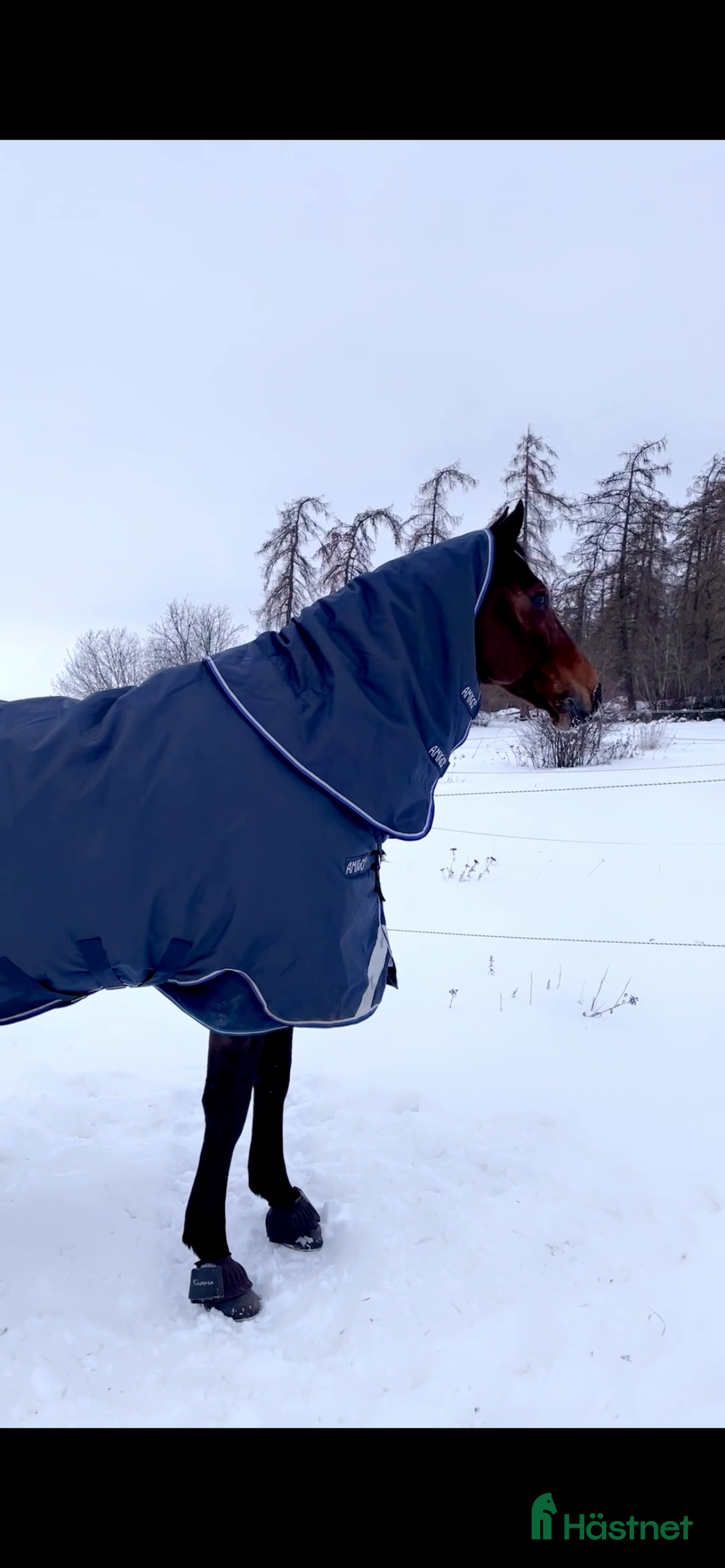 Täcken hästutrustning till salu:  vintertäcke inkl hals  - Annons 2