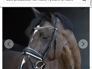 Träns hästutrustning Träns storlek cob säljes - Annons 1