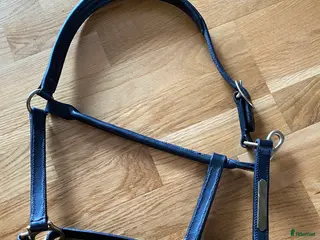 Övrig utrustning övrig utrustning till salu: Svart lädergrimma Cob i Uppsala - Annons 4