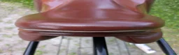 Sadlar hästutrustning till salu: Prestige Golden Star 16" bomvidd 37  - Annons 5