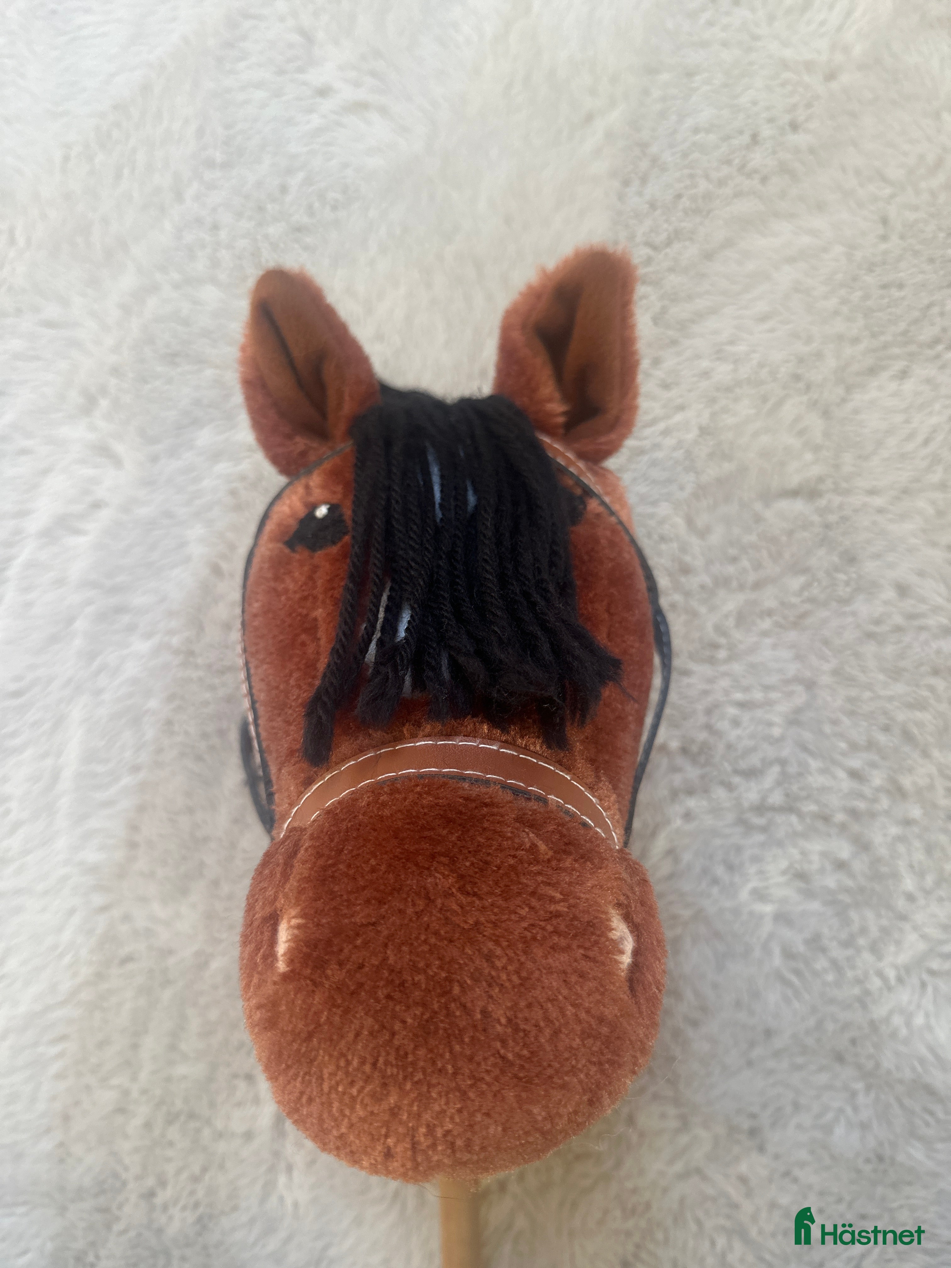 Övrig utrustning övrig utrustning till salu: Käpphäst i Södertälje - Annons 14