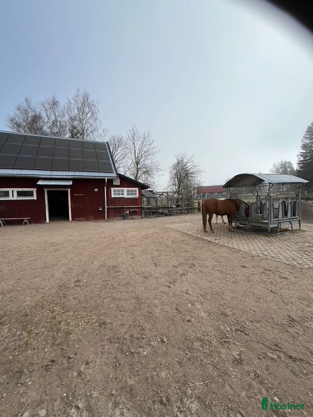  stallplats finnes: Lösdriftsstallet Sanden - Annons 2