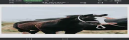 Allround hästar till salu: Welsh cob  - Annons 5