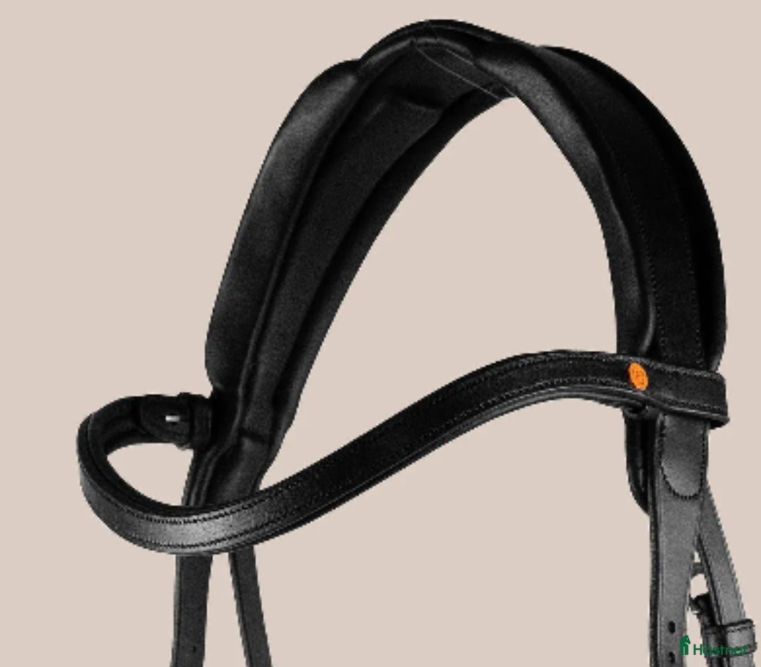 Övrig Hästutrustning hästutrustning till salu: Veredus, TheEquemist, eskadron, Samshield i Stockholm - Annons 4