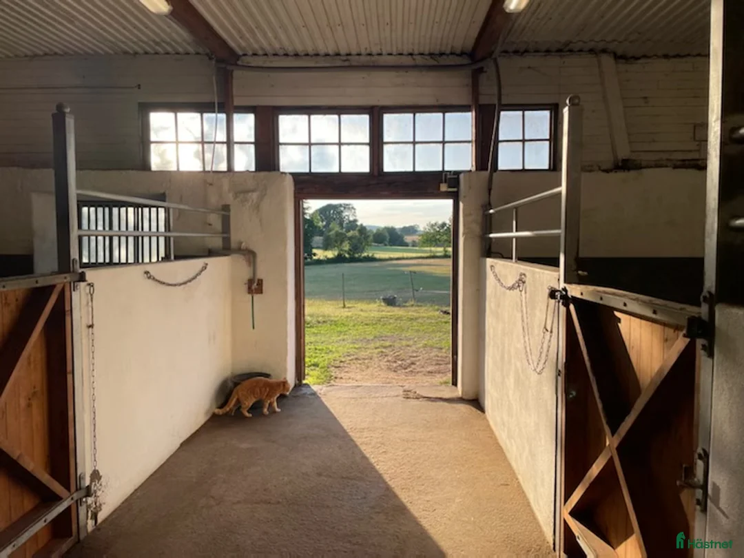  stallplats finnes: Stallplats i Slöinge i Slöinge - Annons 1