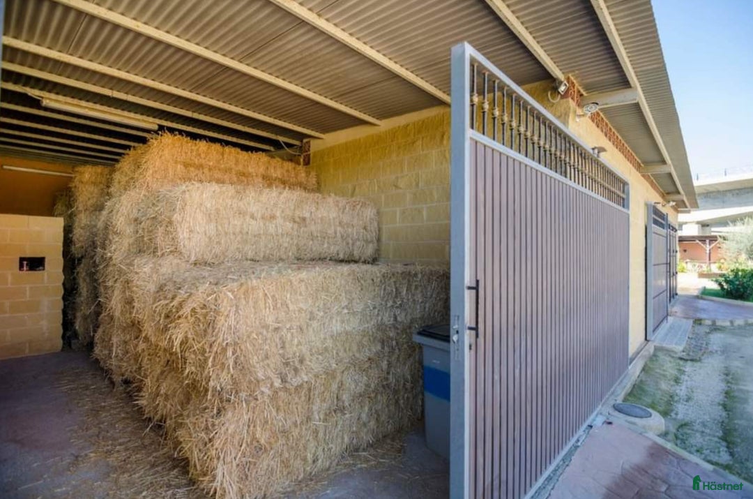  hästgårdar till salu: Hästgård- Costa del Sol, Spanien  i Mijas - Annons 6