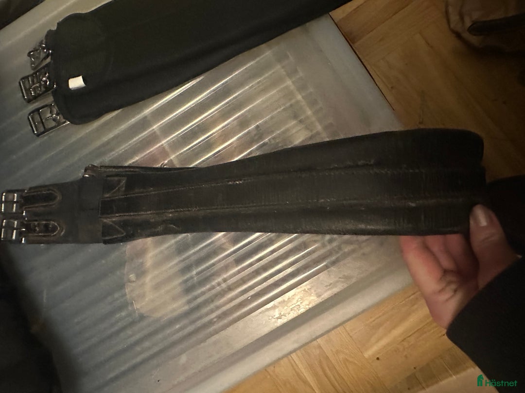 Sadeltillbehör hästutrustning till salu: Svart Lädergjord 110cm med resår i ena änden i Borlänge - Annons 3