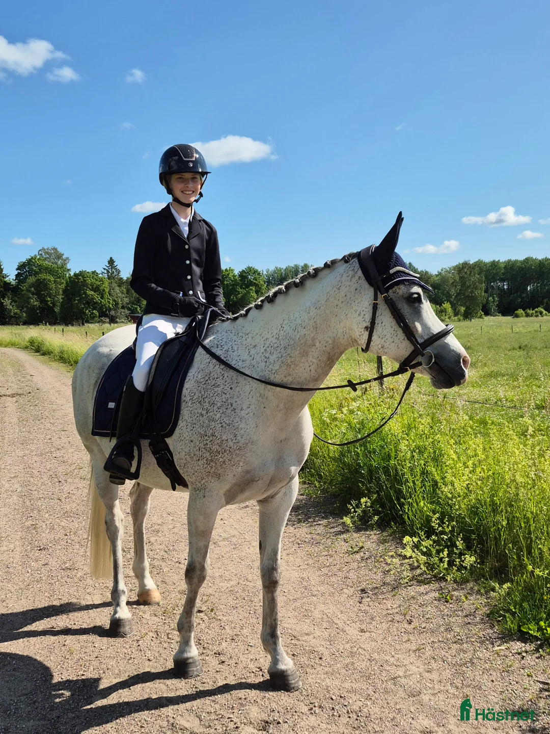Allround hästar sökes: Ponny sökes - Annons 1