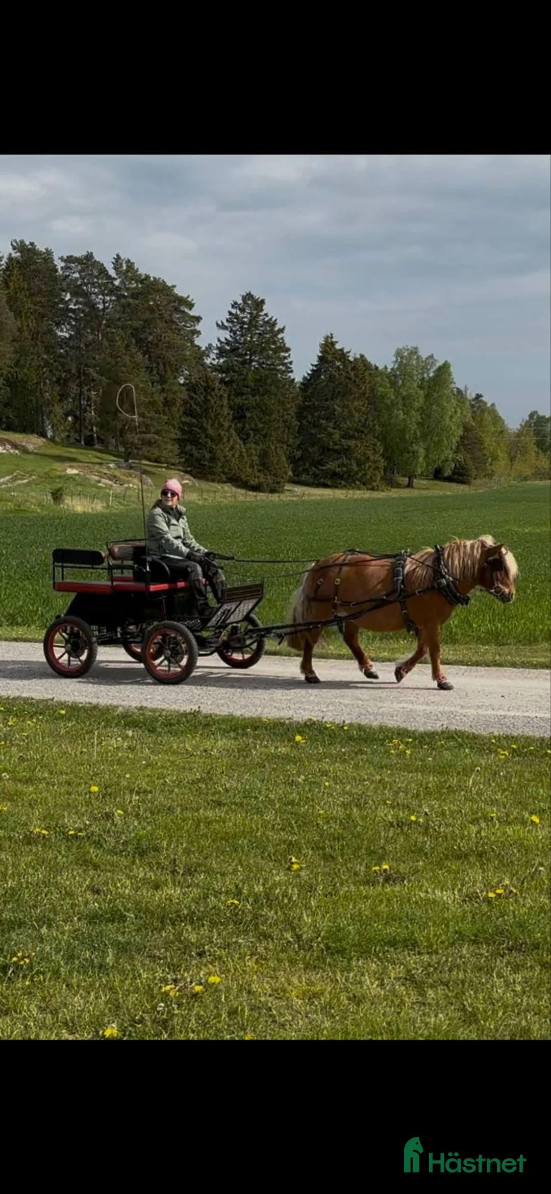 Körvagnar körning till salu: Maratonvagn A-B ponny - Annons 1