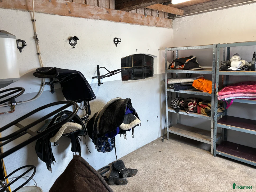  stallplats finnes: Stallplats i lugnt stall i Teckomatorp - Annons 5