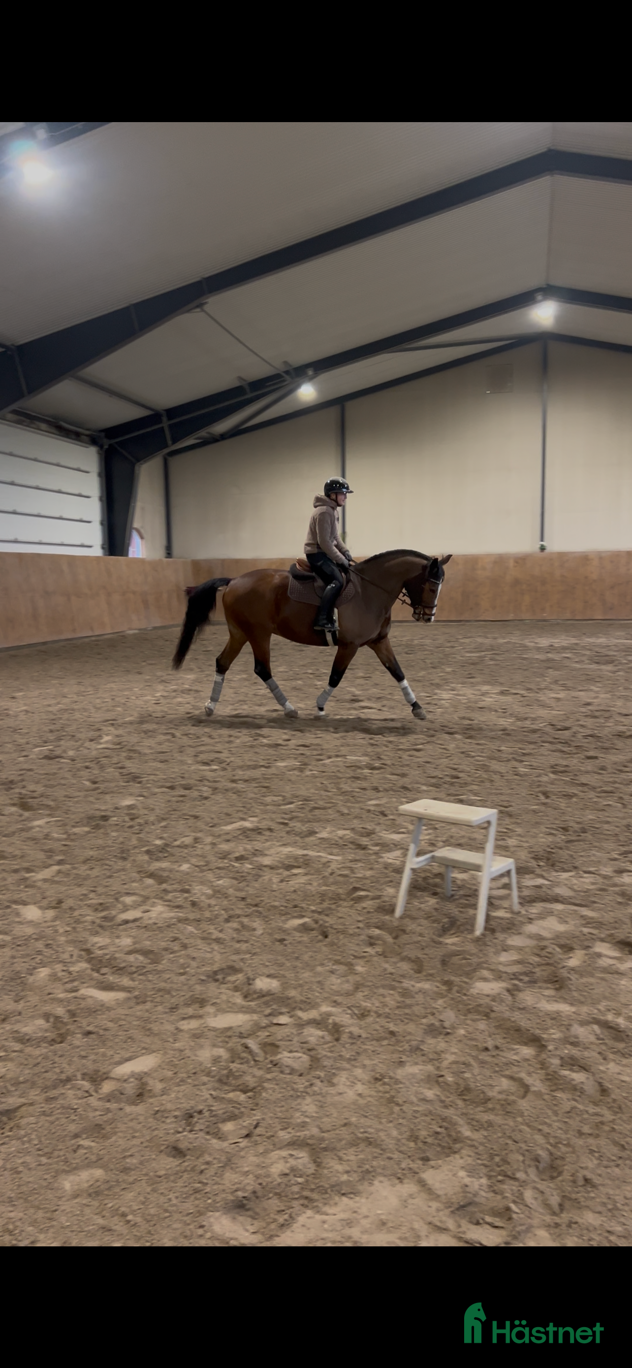  hästservice Ponny/liten storhäst utbildning  - Annons 2