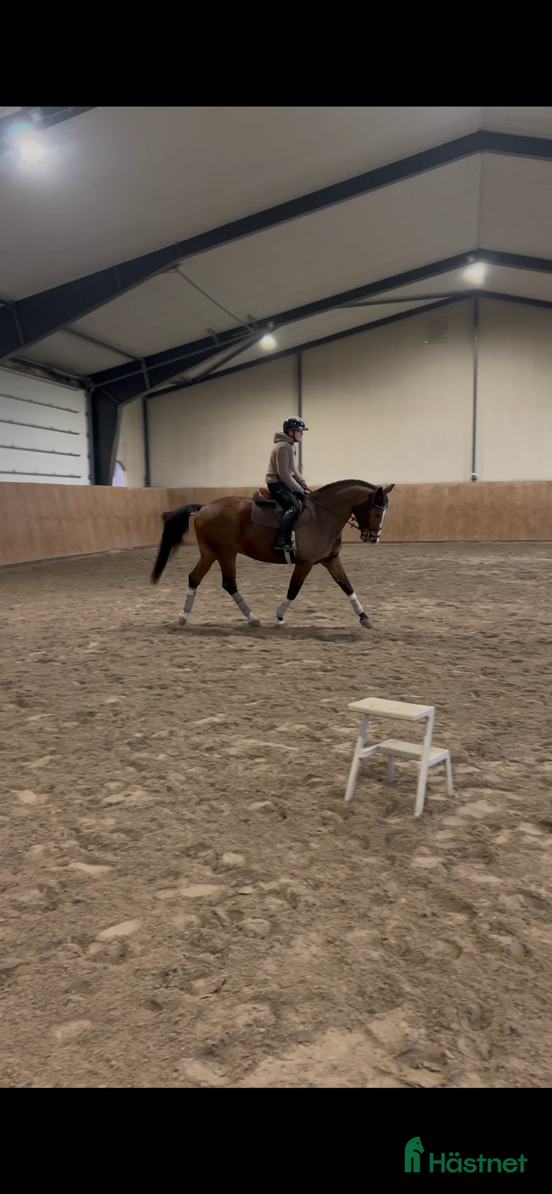  hästservice finnes: Ponny/liten storhäst utbildning  - Annons 1