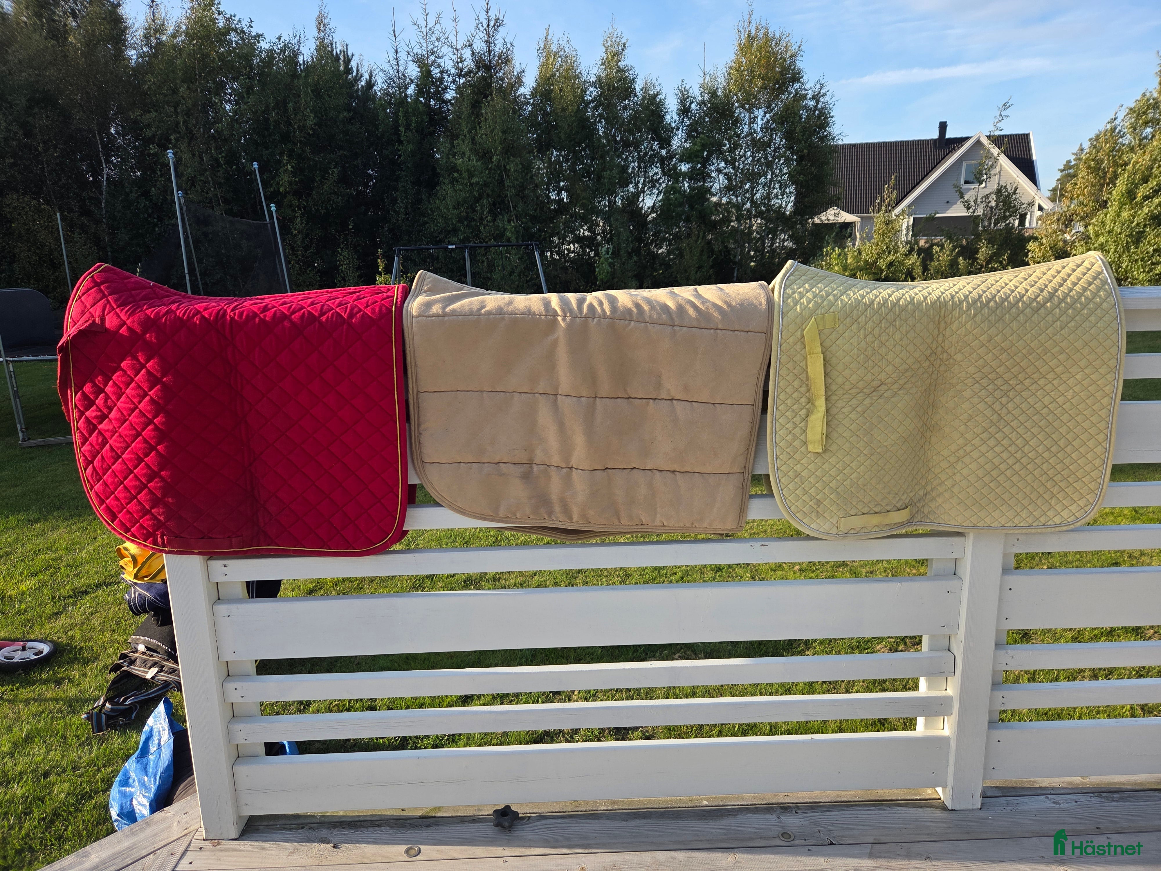 Schabrak & Vojlockar hästutrustning till salu: Dressyrschabrak  i Kalmar - Annons 3