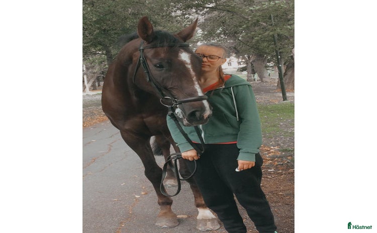  hästjobb i Bagarmossen - Annons 13