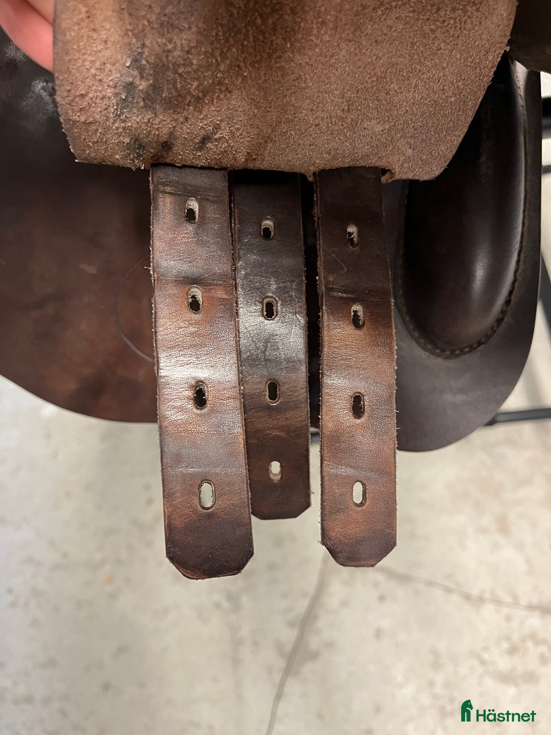 Sadlar hästutrustning till salu: Prestige Roma II i Ystad - Annons 3