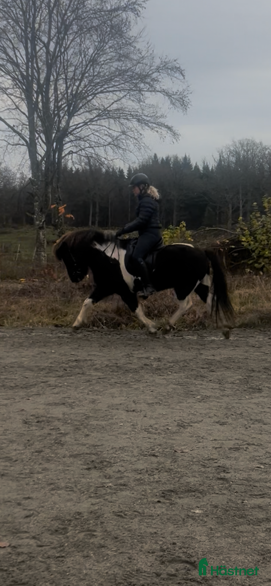 Galleribild {{count}}