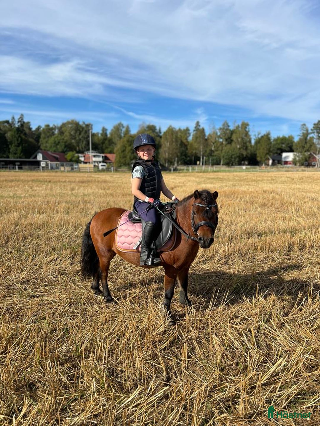  medryttarhäst finnes: Vi söker medryttare till vår A-ponny! i Åled - Annons 7