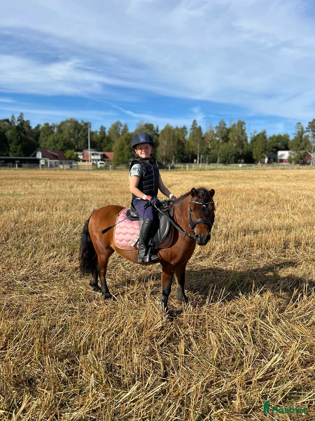  medryttarhäst finnes: Vi söker medryttare till vår A-ponny! - Annons 7