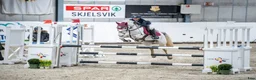 Hoppning hästar till salu: Super, snill og erfaren C-ponni selges - Annons 19