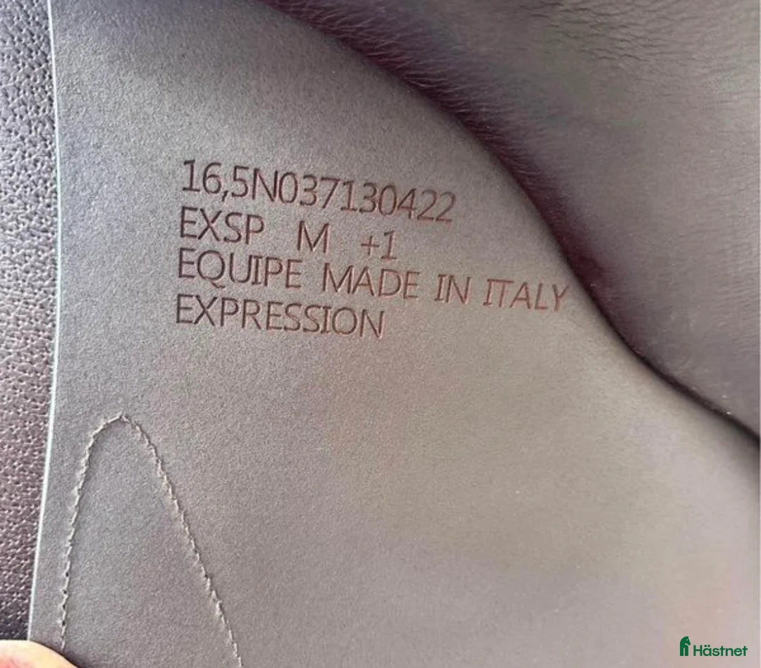 Sadlar hästutrustning till salu: Equipe expression special nästintill ny i Vintrosa - Annons 3