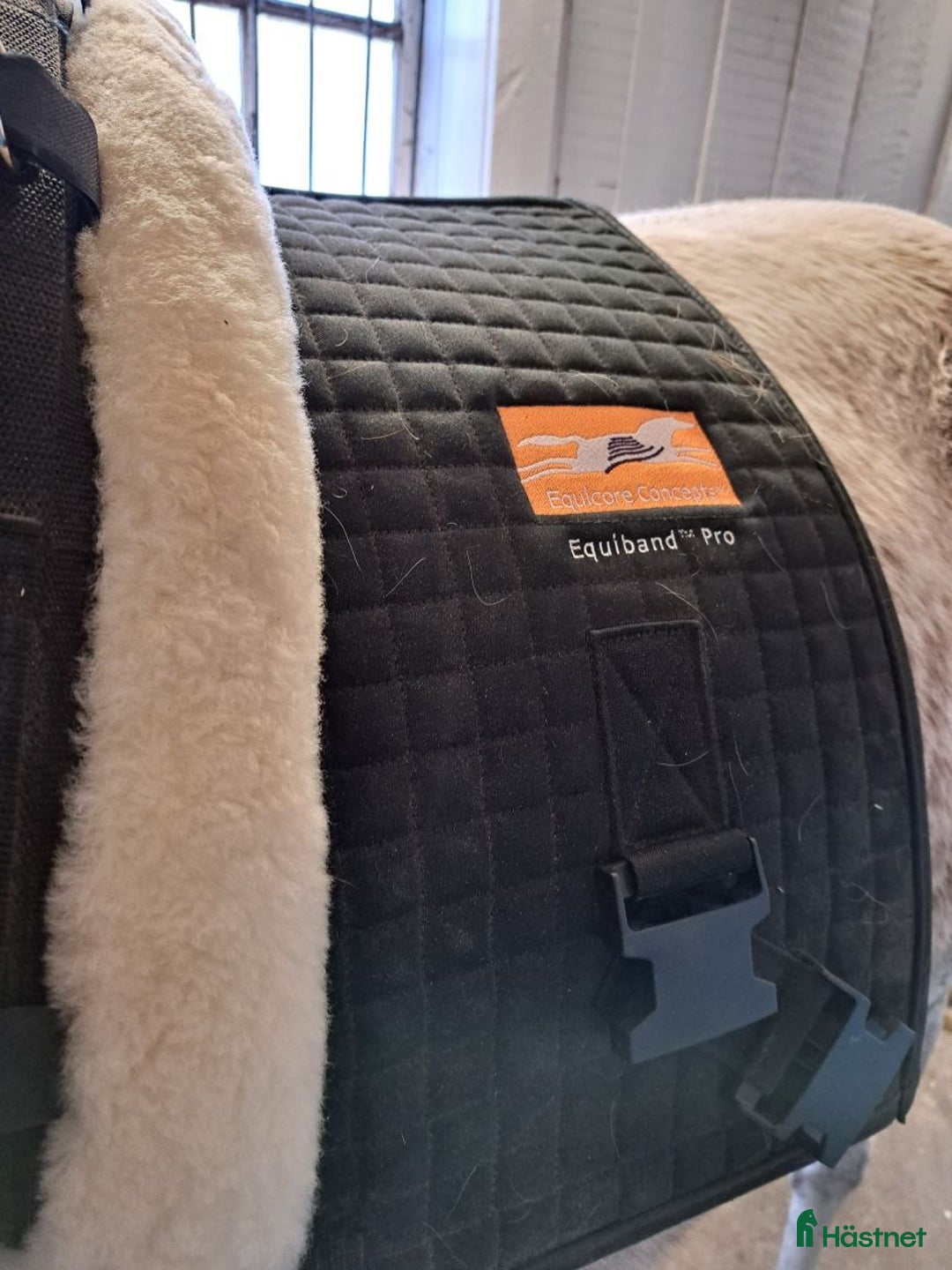  hästservice finnes: Rehabuppstallning/semesteruppstallning/inridning  i Kristdala - Annons 2