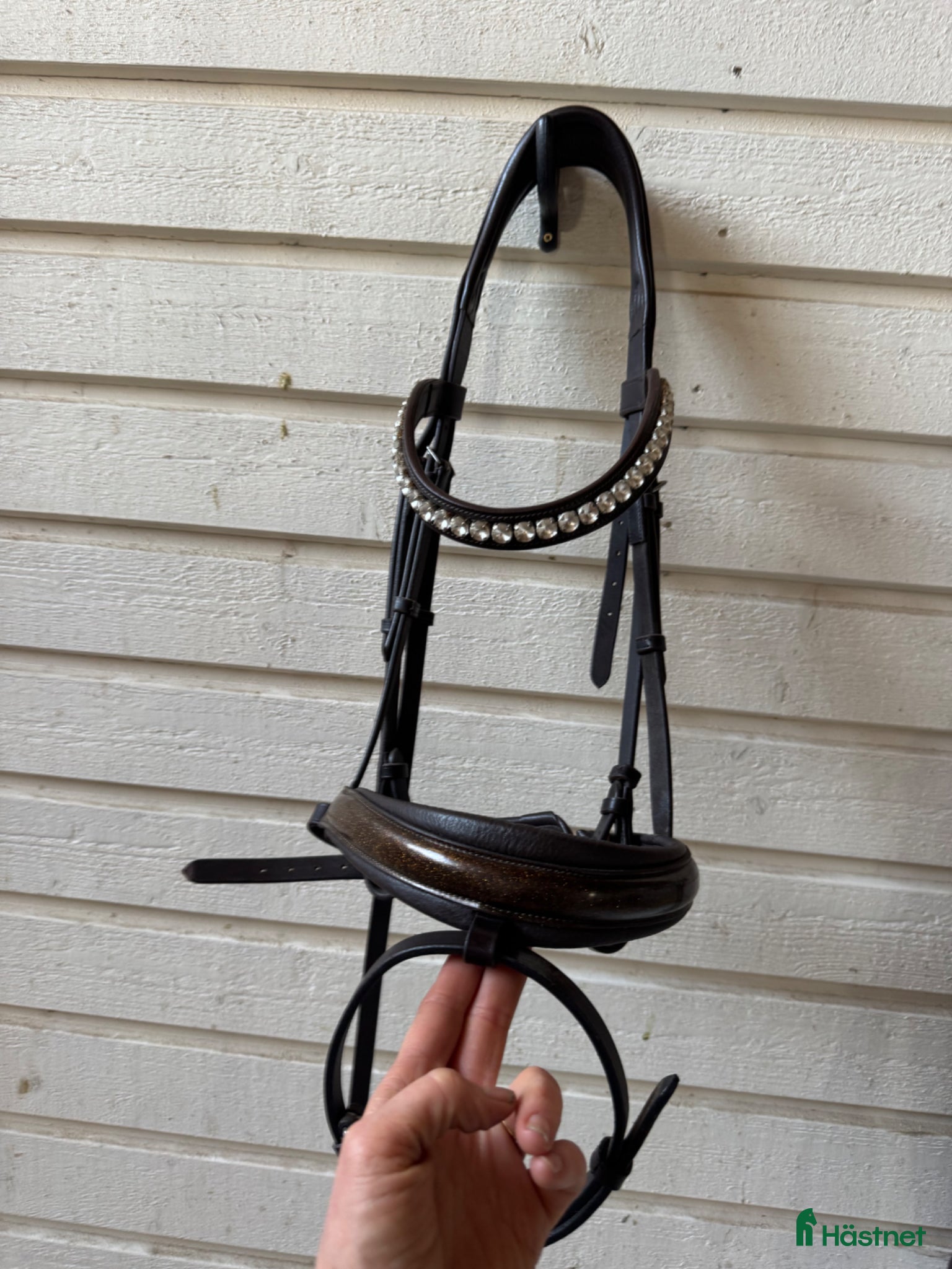 Träns hästutrustning SD Design Oanvänt Träns - Annons 13