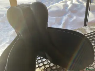 Sadlar hästutrustning Allroundsadel från hööks - Annons 1