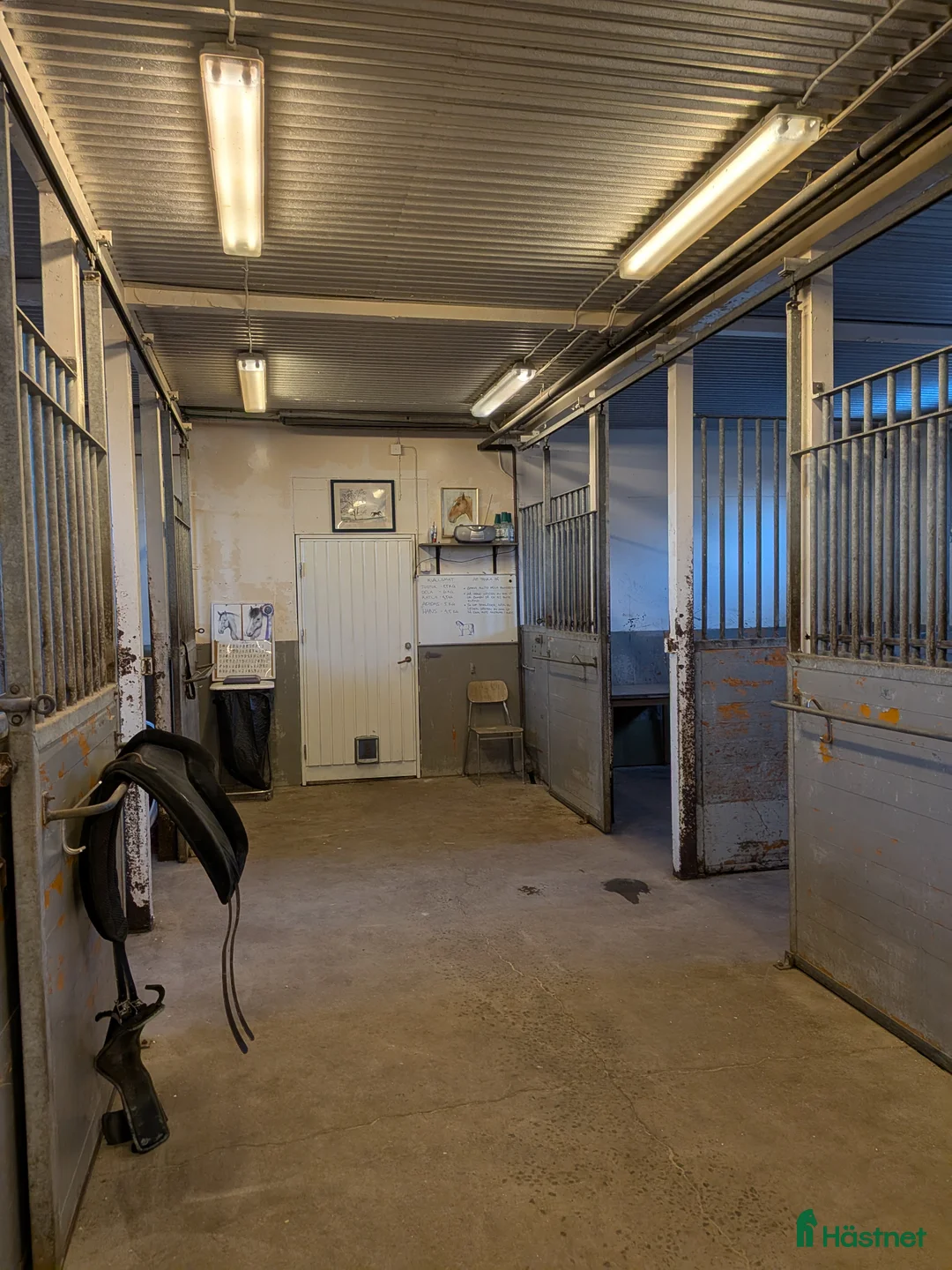  stallplats finnes: Stallplats finns i Kungsbacka - Annons 4