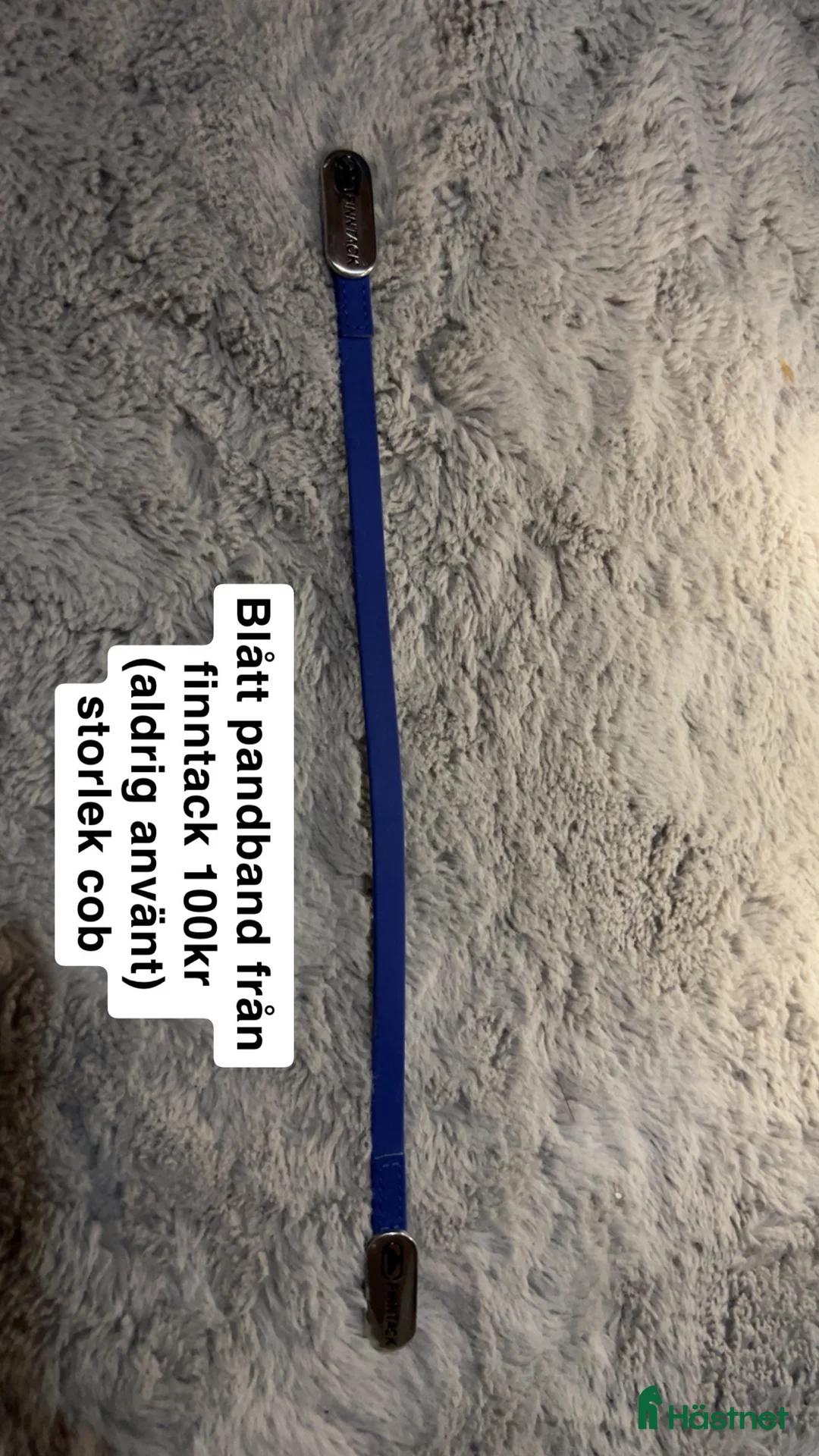 Övrig Hästutrustning hästutrustning till salu: 2 olika pandband (ett blått & ett lila) i Eldsberga - Annons 2