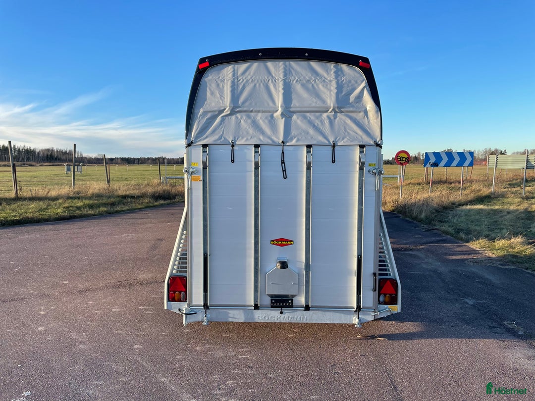 Hästtransporter  fordon & transport till salu: Böckmann Champion #2025 med kombiramp! Kampanj! i Borlänge - Annons 7