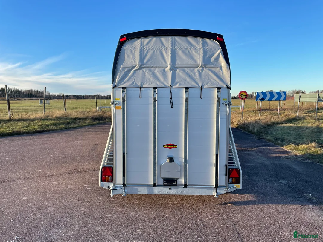 Hästtransporter  fordon & transport till salu: Böckmann Champion #2026 med kombiramp! Kampanj! - Annons 7