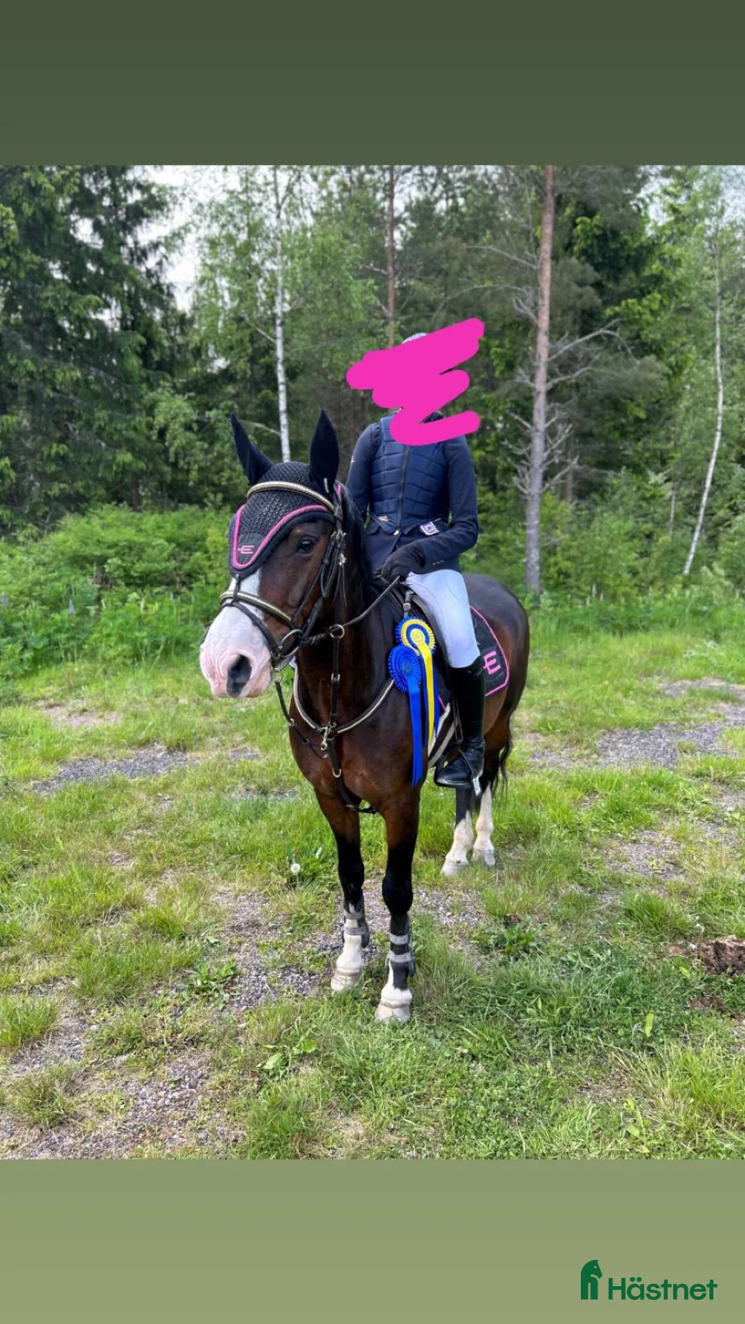 Hoppning hästar till salu: Tävlingsponny med kapacitet för det högsta - Annons 2