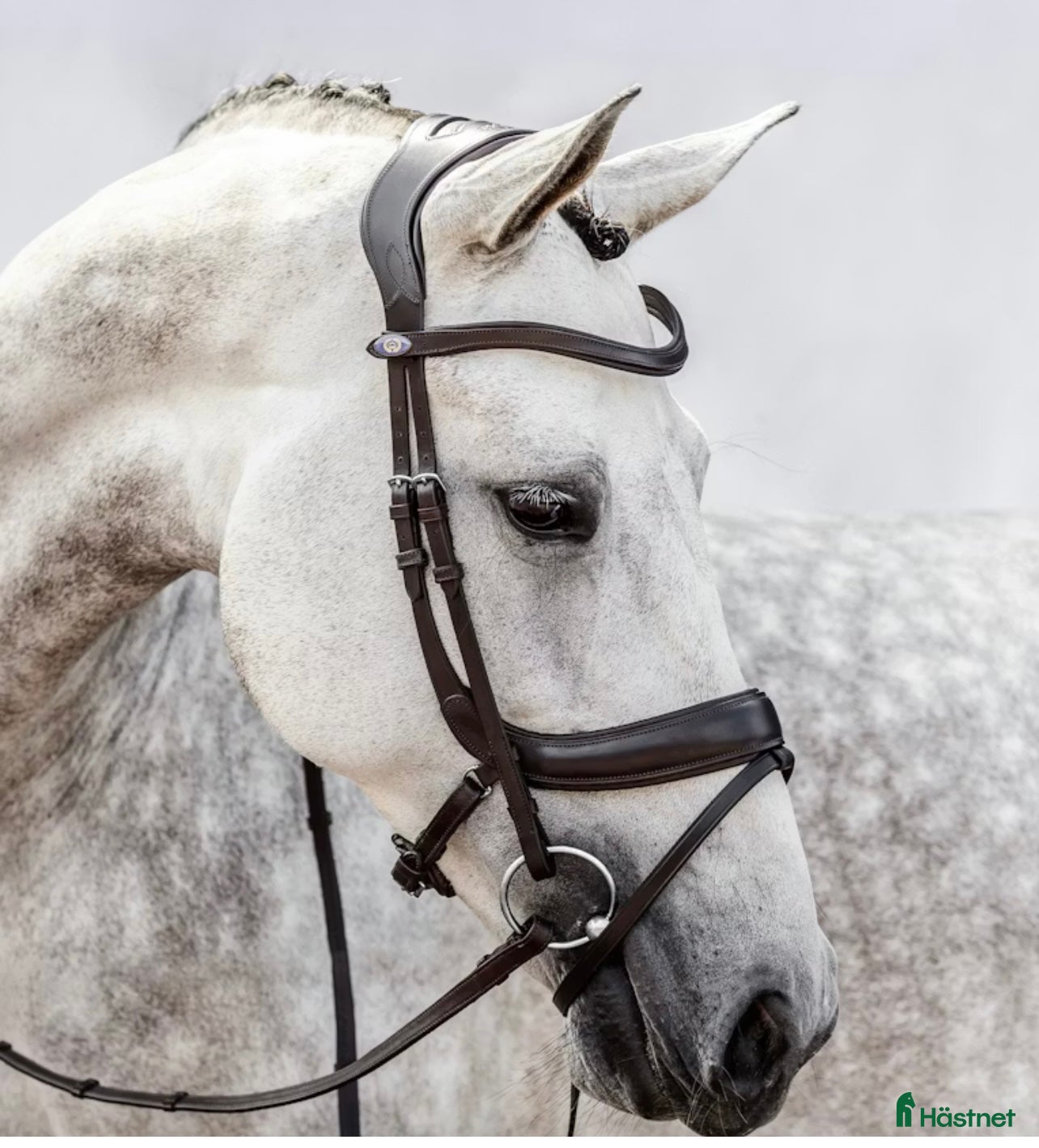 Träns hästutrustning till salu: Träns Paladin Ps of Sweden Cob brunt m tyglar i Norrtälje - Annons 13