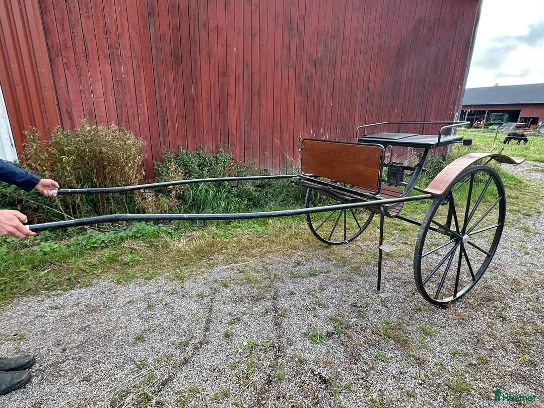 Körvagnar körning till salu: Mycket fin gigg i Vagnhärad - Annons 1