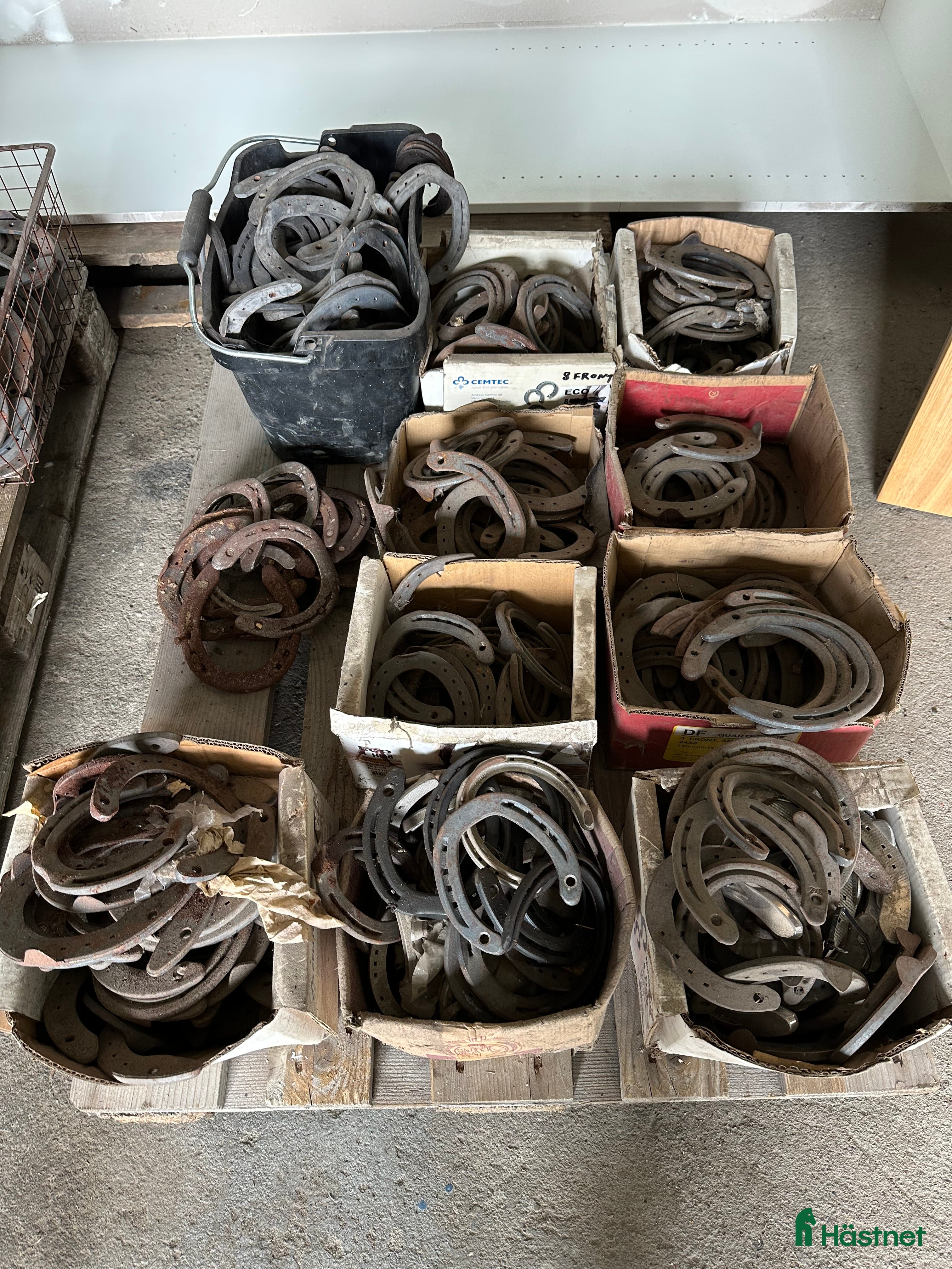 Övrig utrustning övrig utrustning till salu: Nya hästskor i olika storlekar och modeller i Hörby - Annons 13