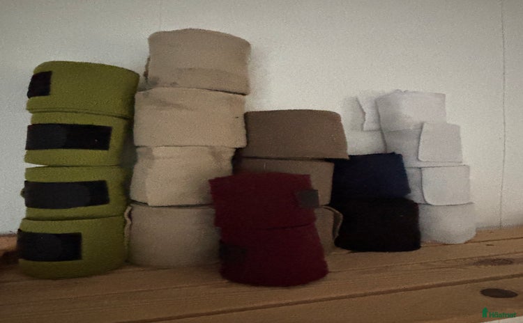 Benskydd hästutrustning till salu i Fliseryd - Annons 20