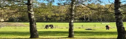  hästjobb finnes: Ridlärartjänst på Farsta ridskola - Annons 1
