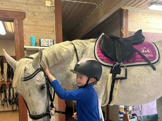 hästar Sökes robust C ponny valack i Valbo - Annons 13