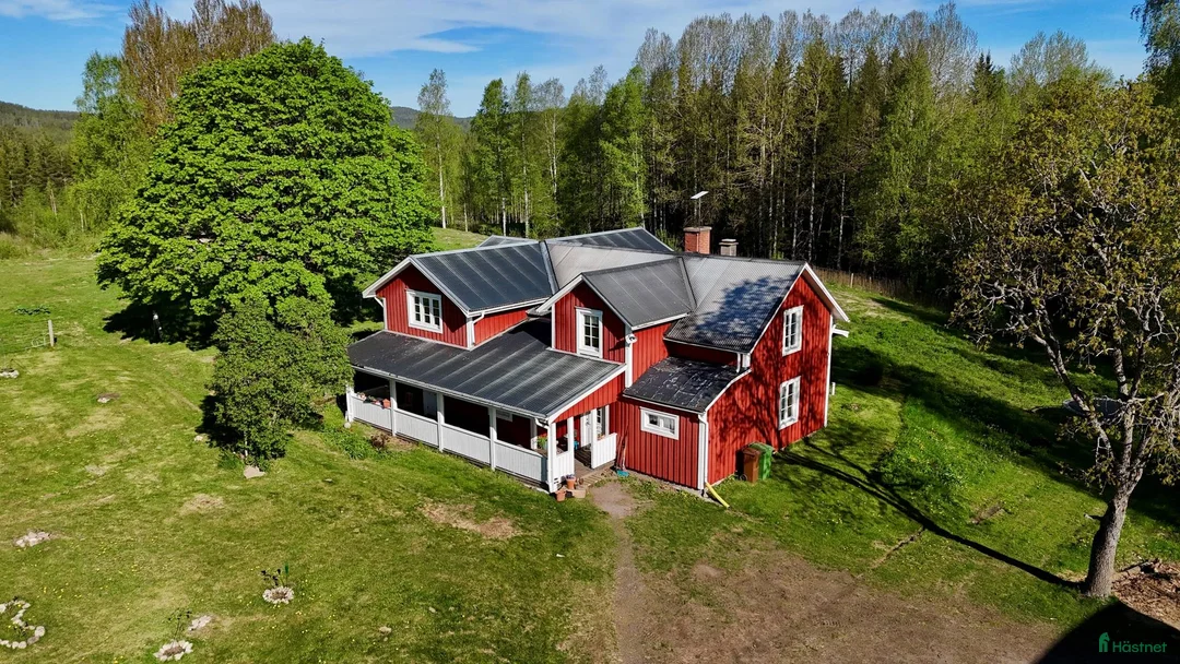  hästgårdar till salu: Hästgård med 11 boxar och extra boarea - Annons 3
