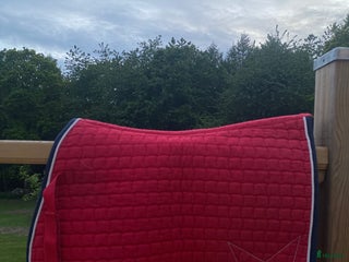 Sadeltillbehör hästutrustning till salu: Rött schabrak stl ponny i Skurup - Annons 3