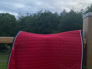 Sadeltillbehör hästutrustning Rött schabrak stl ponny i Skurup - Annons 11