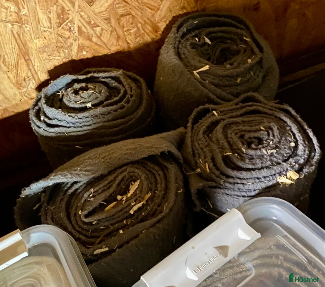 Övrig Hästutrustning hästutrustning till salu: Hästsaker i Halmstad - Annons 4