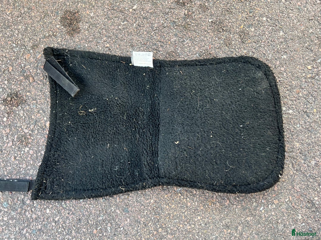 Övrig Hästutrustning hästutrustning till salu: Ponnysaker i Västerås - Annons 19